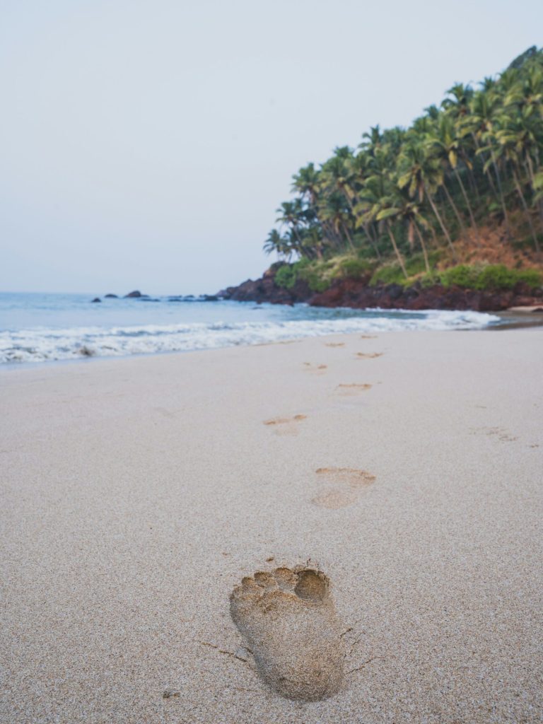 avin-cp-9PdYpCGXh8s-unsplash